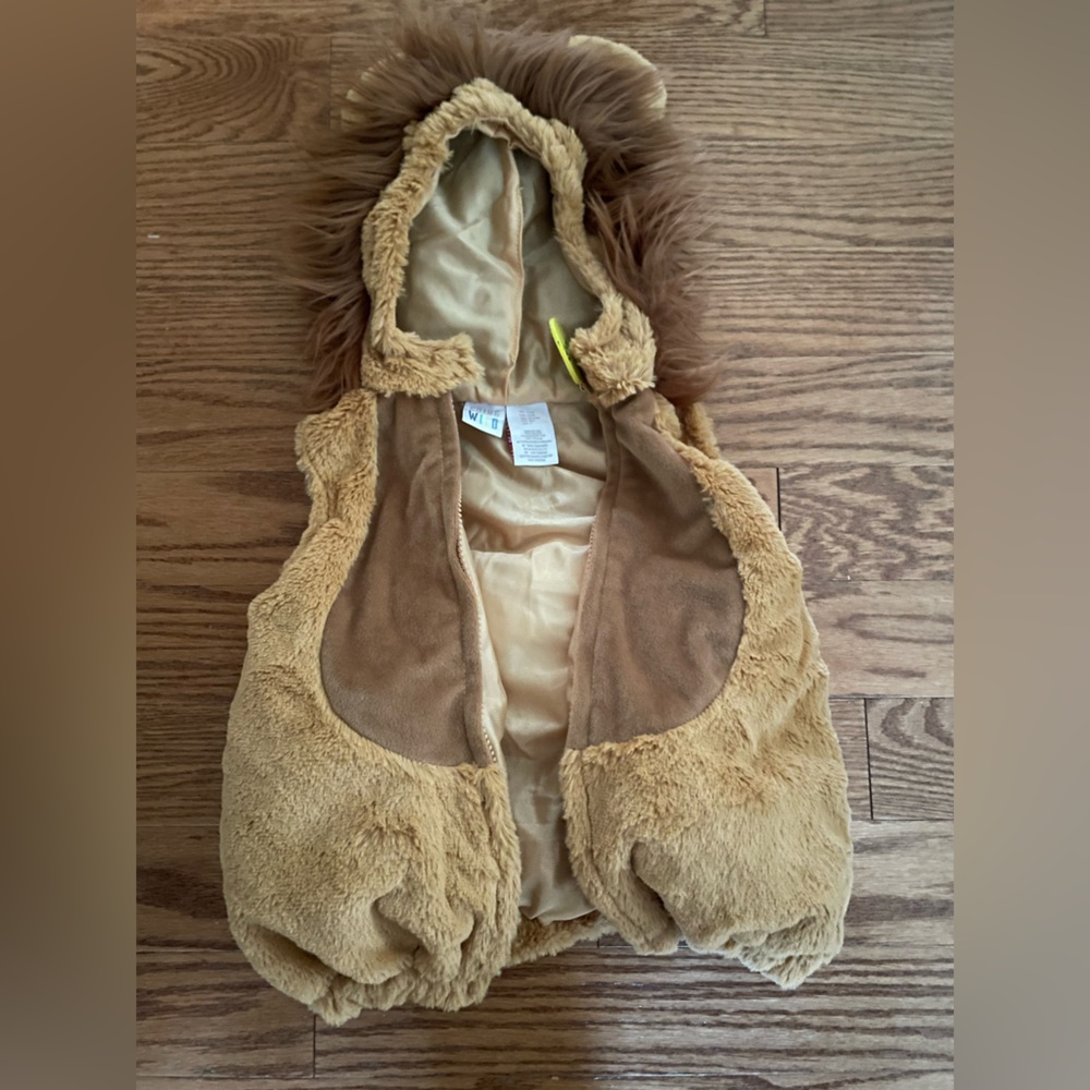 Cozy Lion costume for play